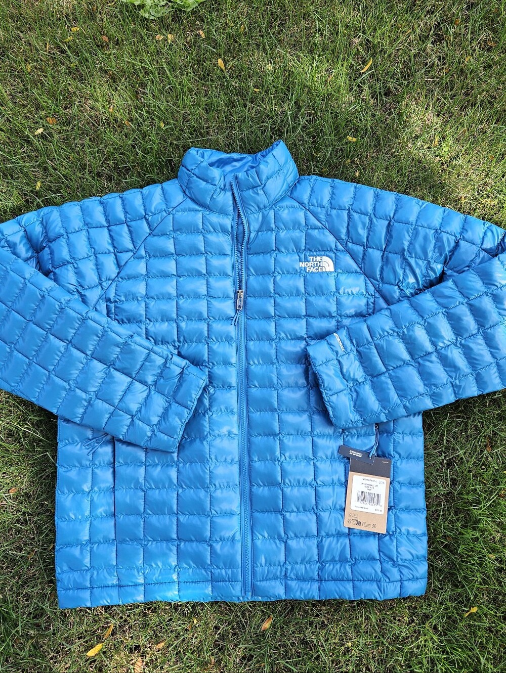 The North Face Bright Blue Puffer Jacket